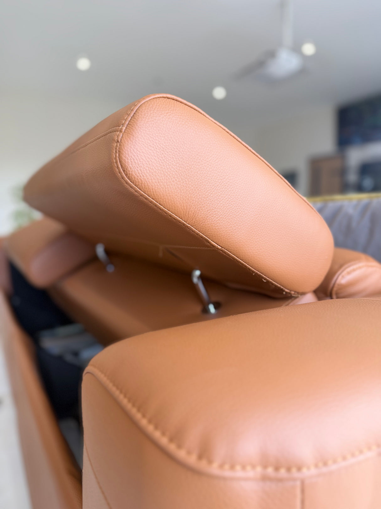Autumnville Genuine Leather Electric Reclining 2 Seat Sofa (Available in Tanned Brown or Black)